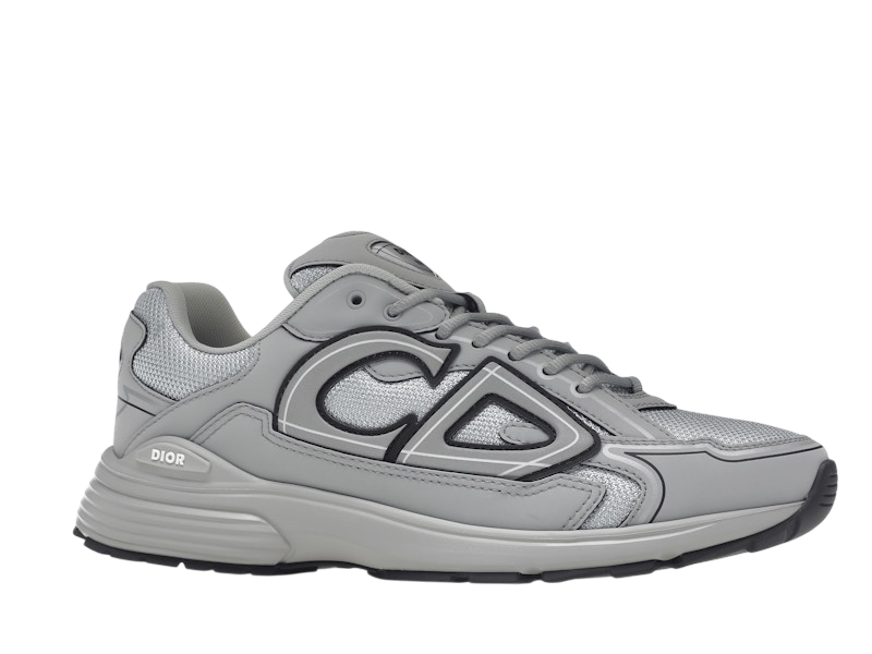Dior B30 Gray