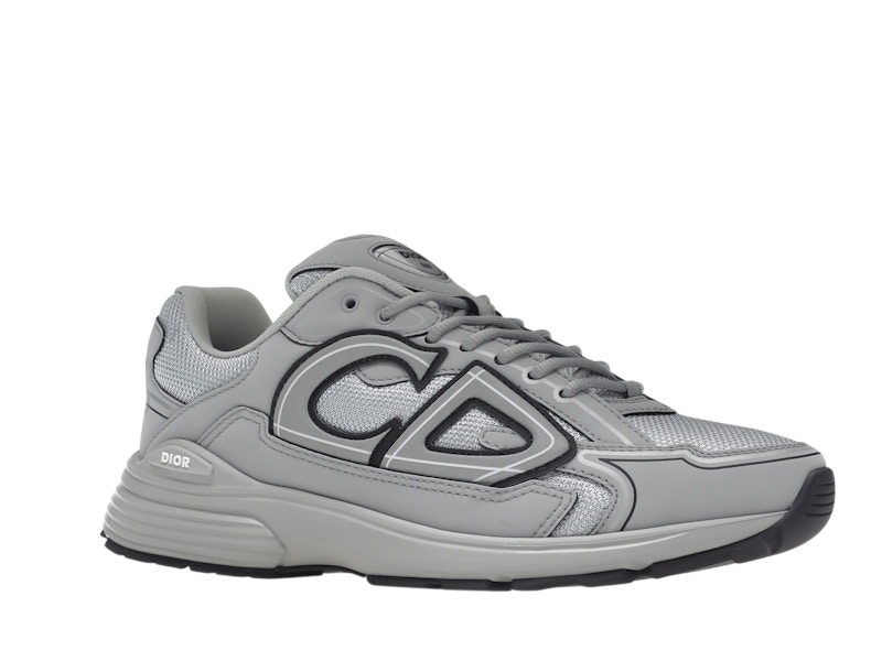 Dior B30 Gray