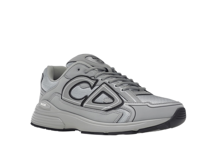 Dior B30 Gray