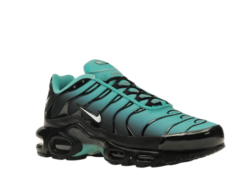 Nike Air Max Plus Light Retro Blue