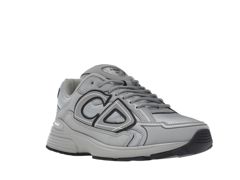 Dior B30 Gray