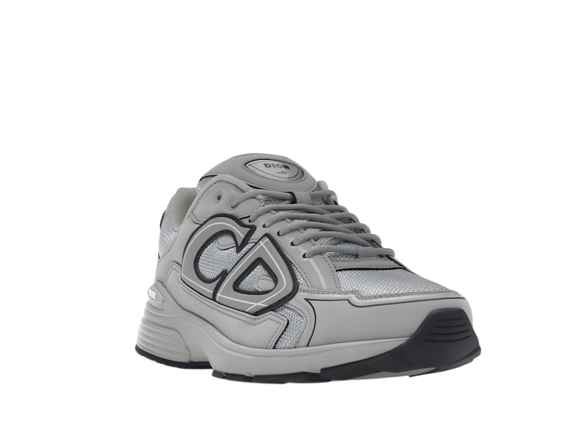 Dior B30 Gray