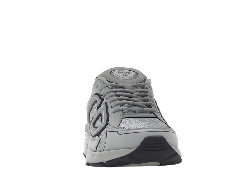 Dior B30 Gray