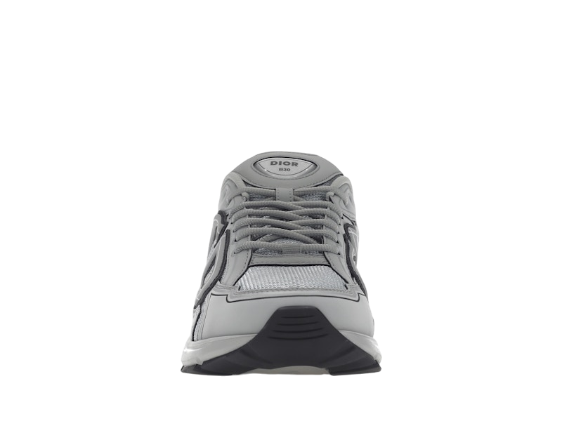 Dior B30 Gray