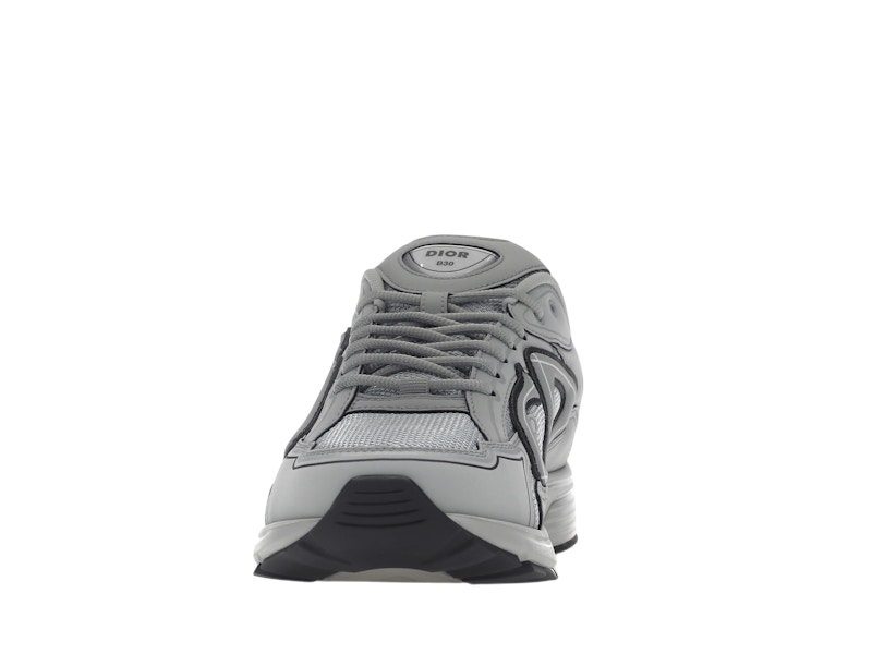 Dior B30 Gray