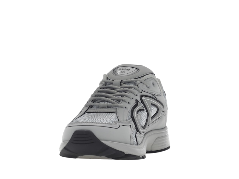 Dior B30 Gray