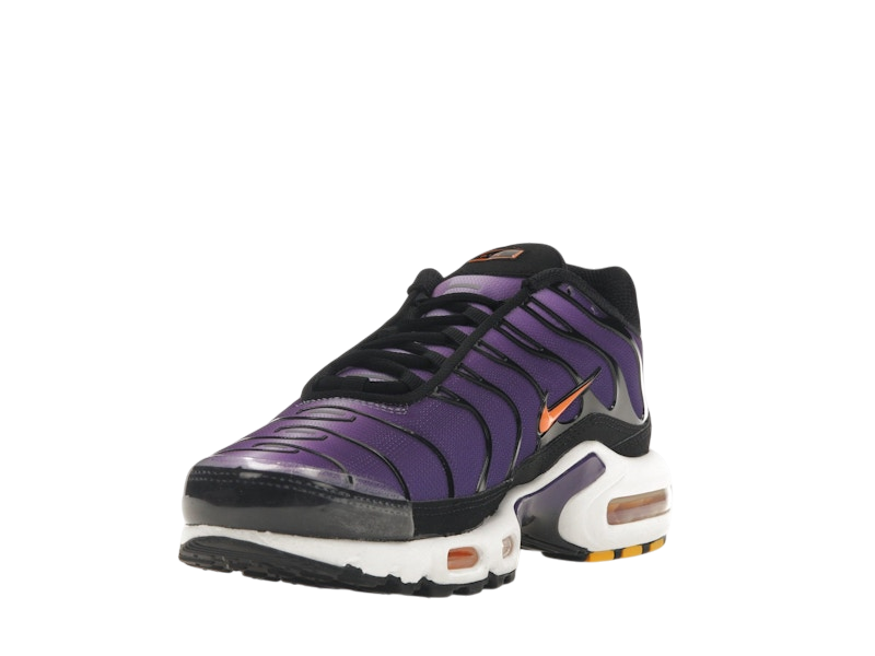 Nike Air Max Plus OG Voltage Purple 2O24