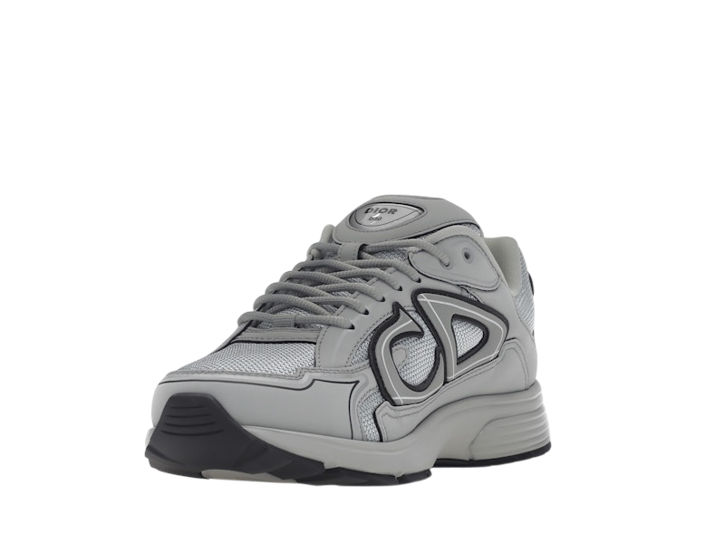 Dior B30 Gray