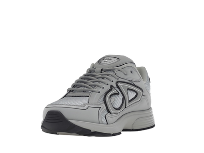 Dior B30 Gray