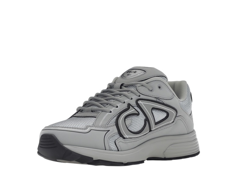 Dior B30 Gray