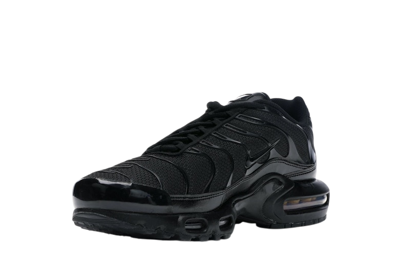 Nike Air Max Plus Triple Black