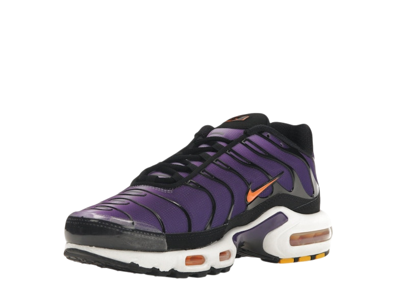 Nike Air Max Plus OG Voltage Purple 2O24
