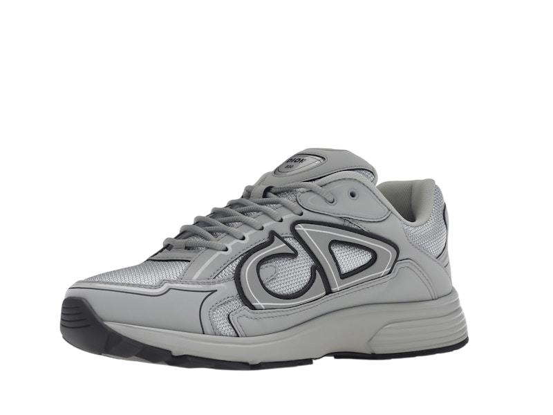 Dior B30 Gray