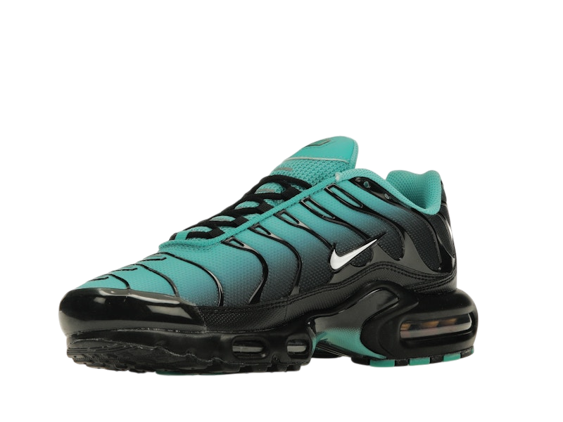 Nike Air Max Plus Light Retro Blue
