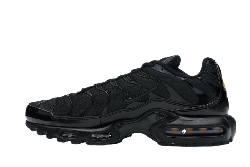 Nike Air Max Plus Triple Black