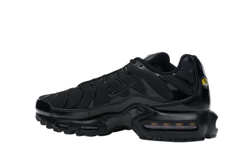 Nike Air Max Plus Triple Black