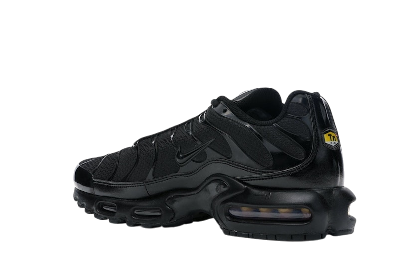 Nike Air Max Plus Triple Black