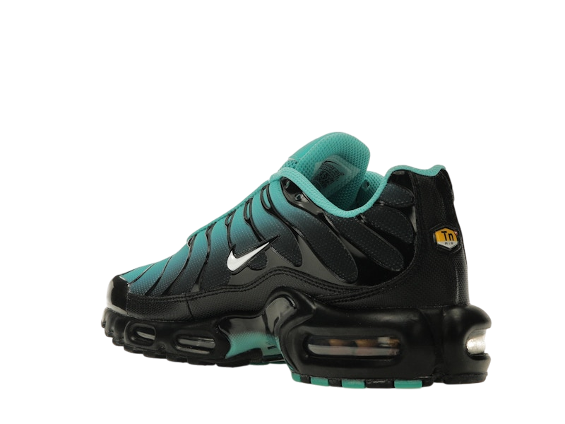 Nike Air Max Plus Light Retro Blue