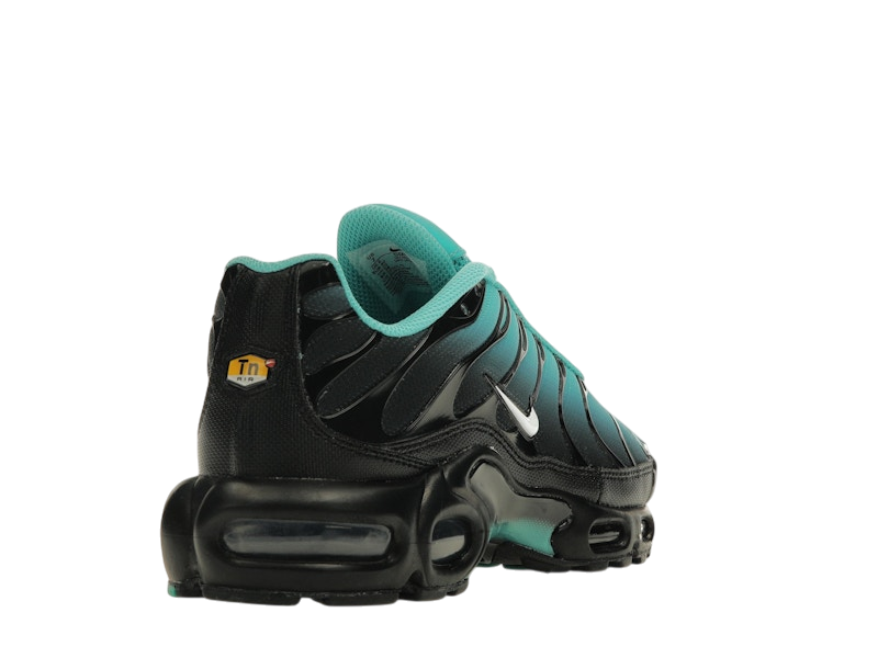 Nike Air Max Plus Light Retro Blue