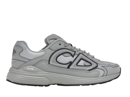 Dior B30 Gray